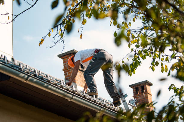 Best Gutter Installation and Repair  in Maplewood, MN