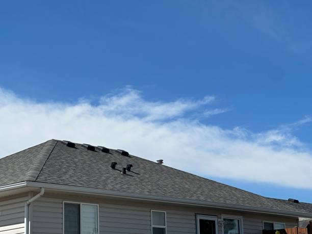 Best Roof Waterproofing  in Maplewood, MN